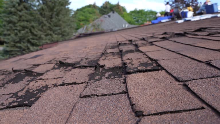 Best Steel Roofing  in Franklin, LA
